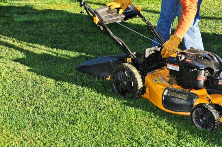 Est-il interdit de passer la tondeuse le dimanche ?