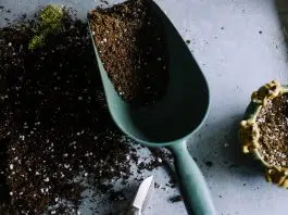 Comment choisir son matériel de jardin ? Comment choisir son matériel de jardin ?