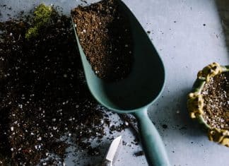 Comment choisir son matériel de jardin ?