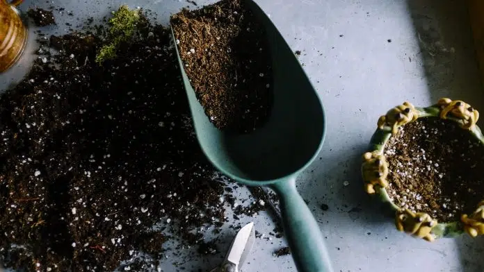 Comment choisir son matériel de jardin ?